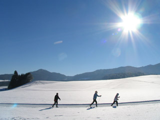 Archiv-Naturpark-Zirbitzkogel-Grebenzen-Langlaufen