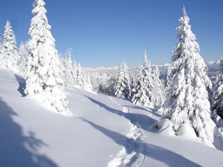 Winterlandschaft_c_TVB-Naturpark-Zirbitzkogel-Grebenzen